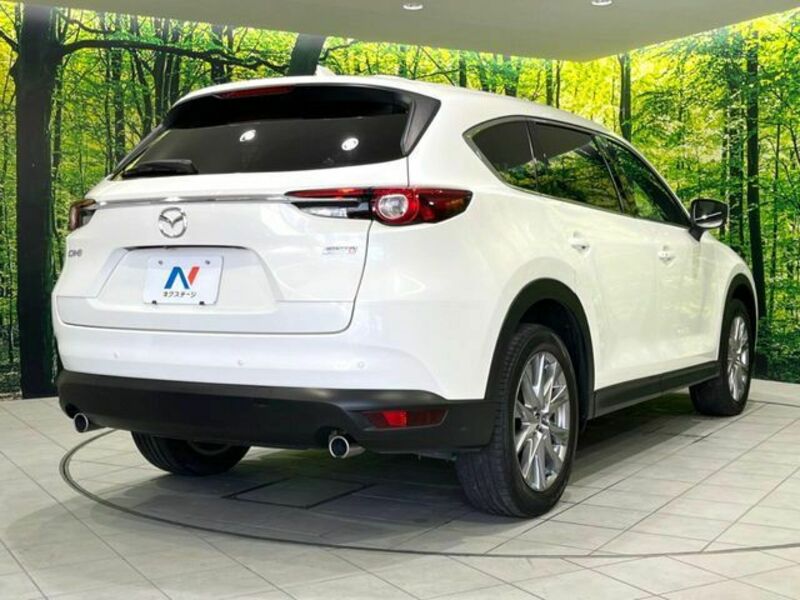 CX-8