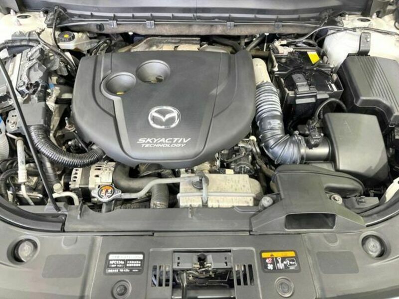 CX-8