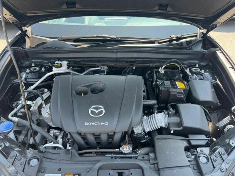 CX-30