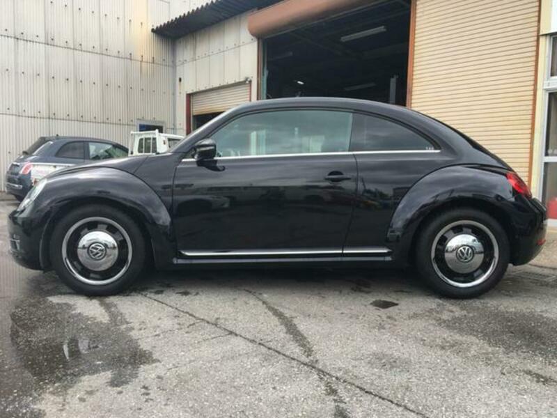THE BEETLE