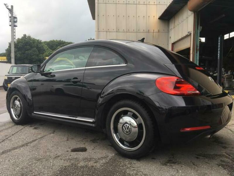 THE BEETLE