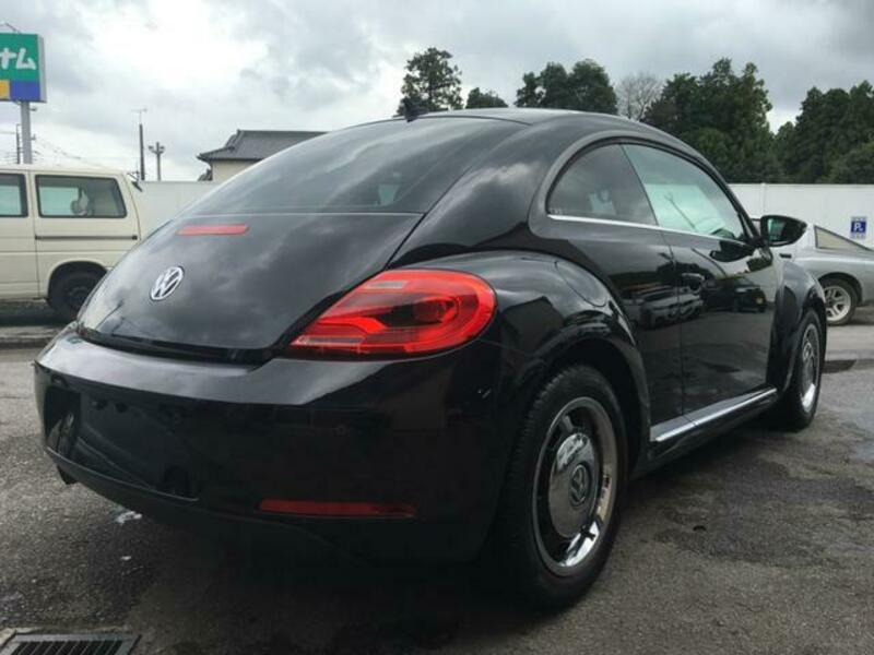 THE BEETLE