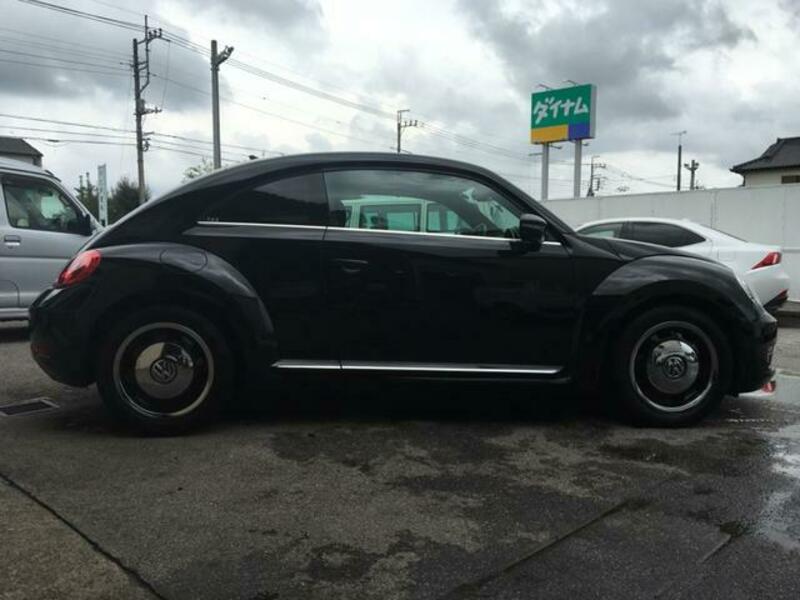 THE BEETLE