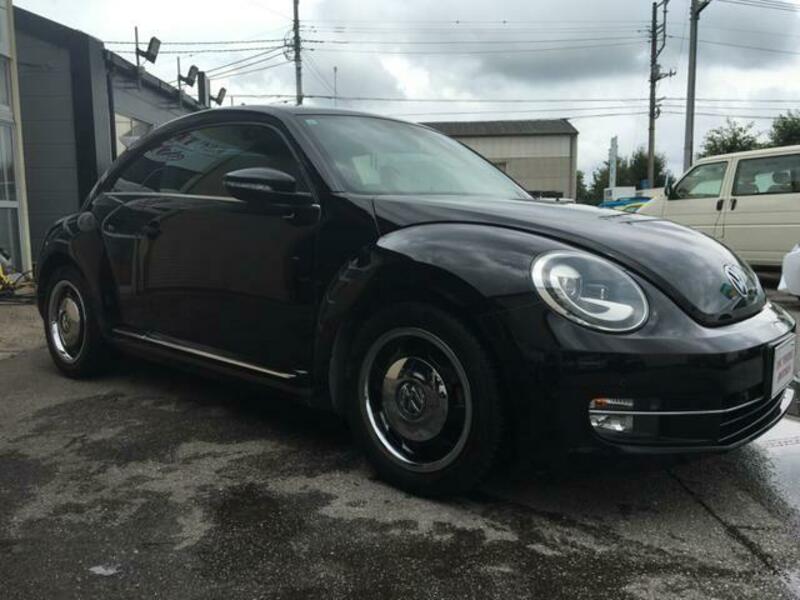 THE BEETLE