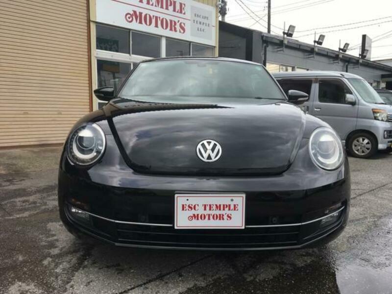 THE BEETLE