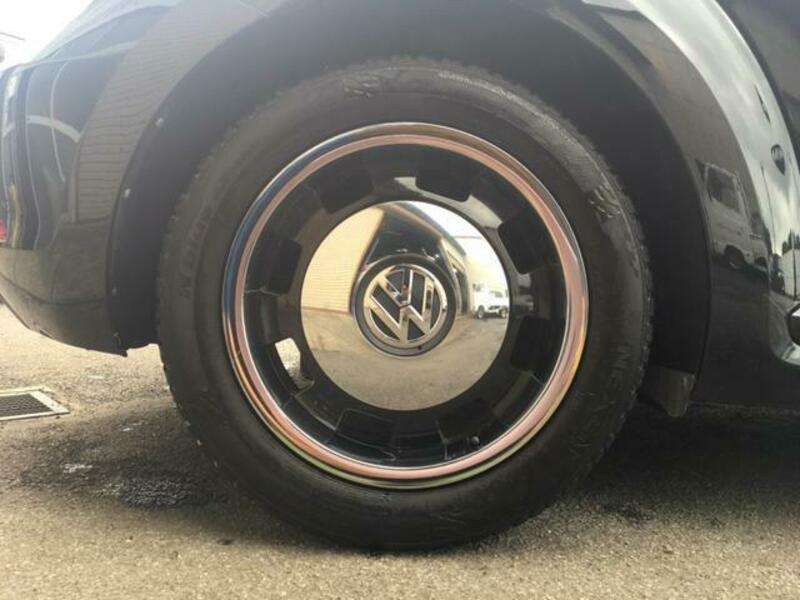 THE BEETLE