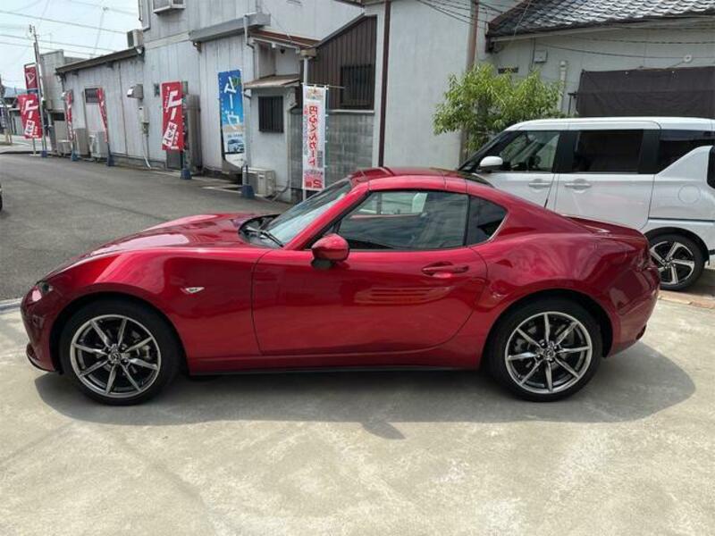ROADSTER RF
