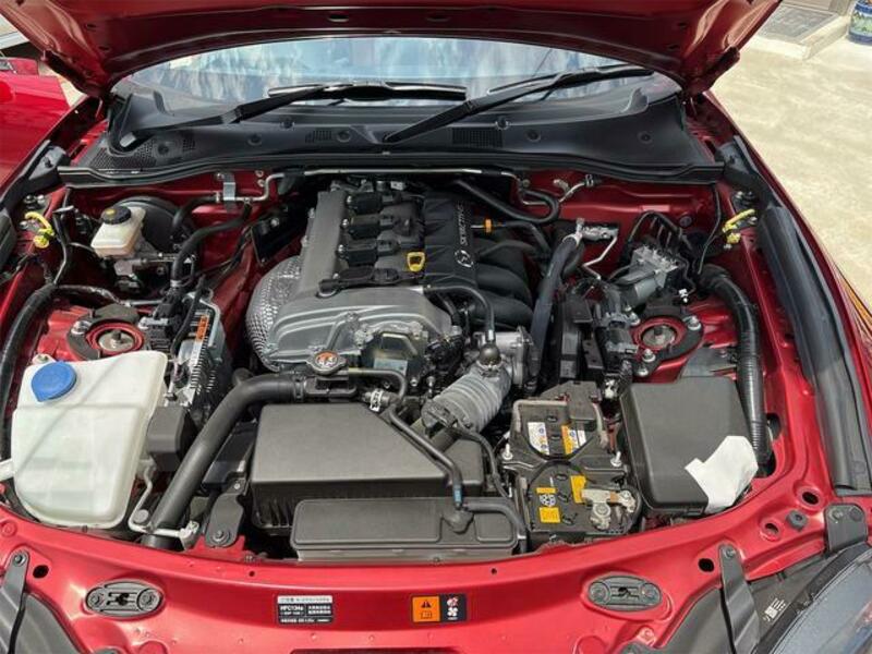 ROADSTER RF
