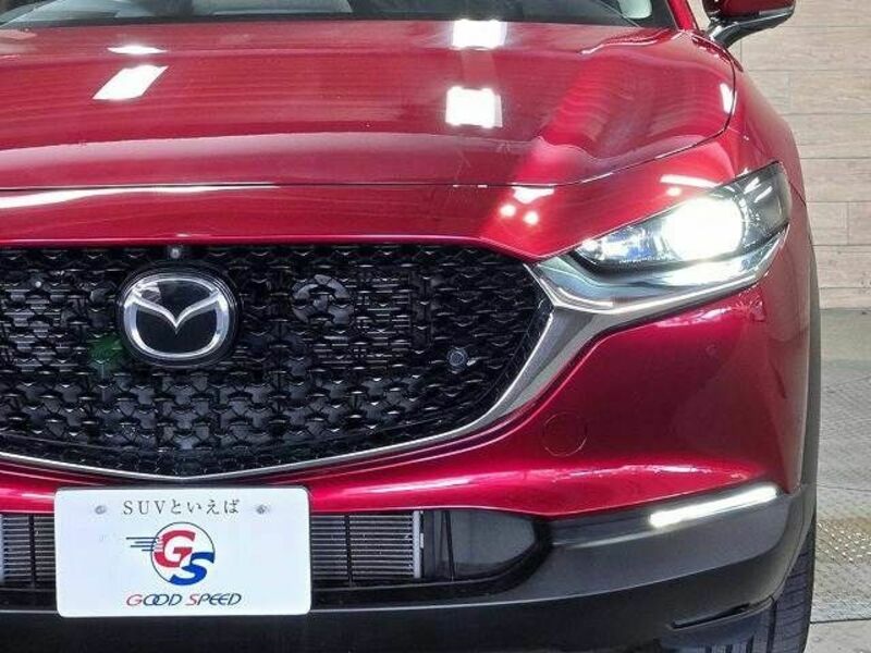 CX-30