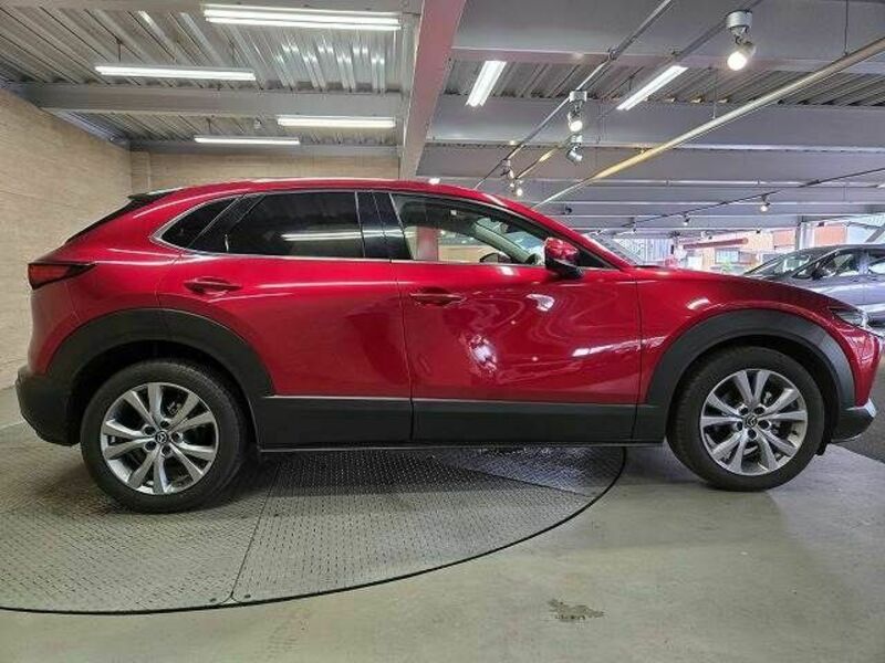 CX-30