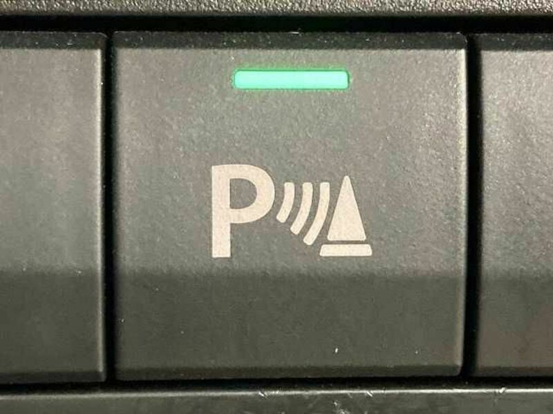 HUSTLER