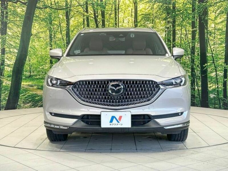 CX-8