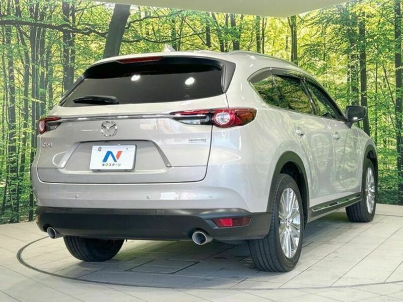 CX-8