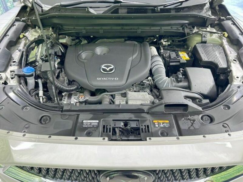 CX-8