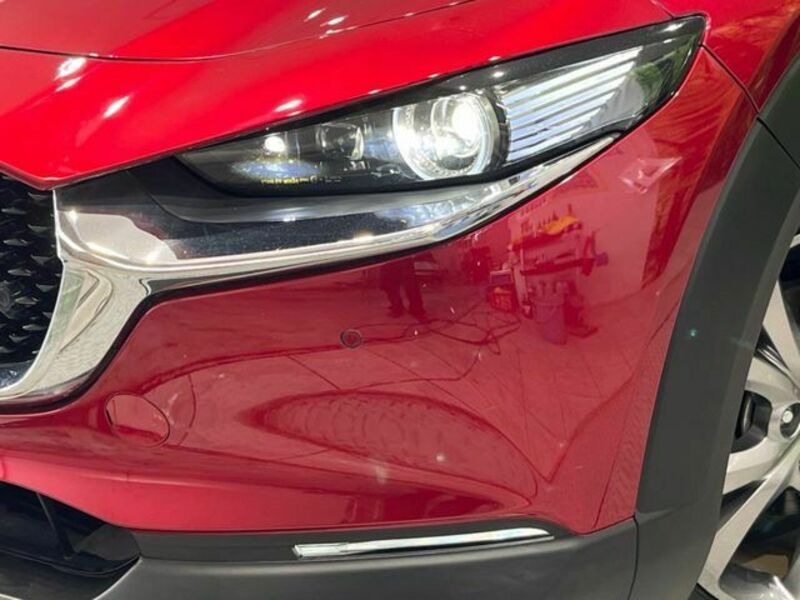 CX-30
