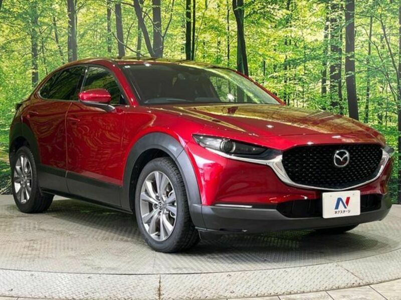 CX-30