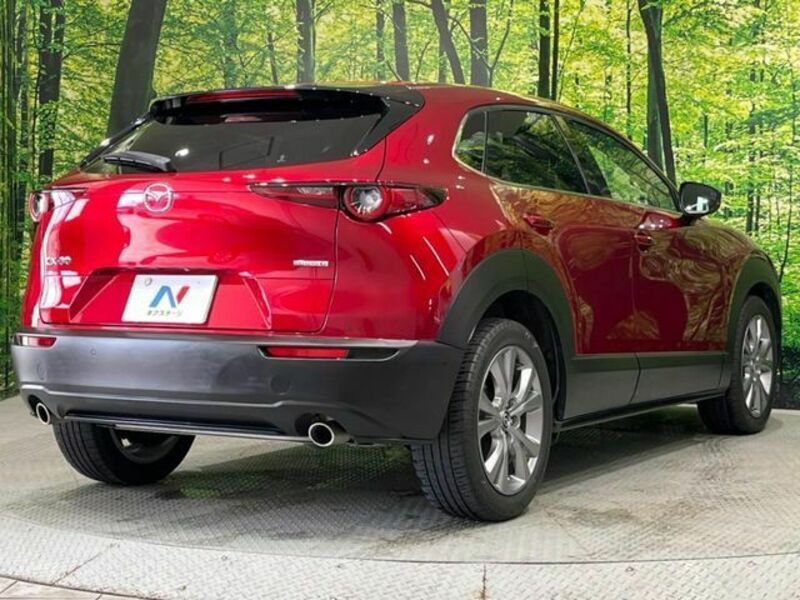CX-30