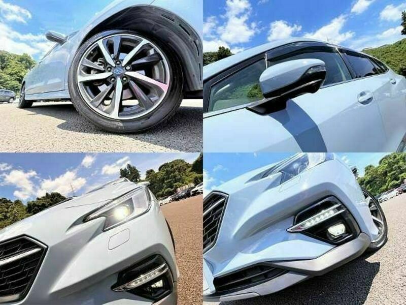 LEVORG