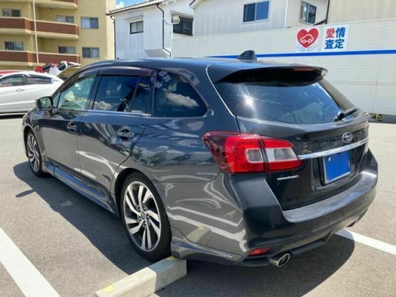 LEVORG