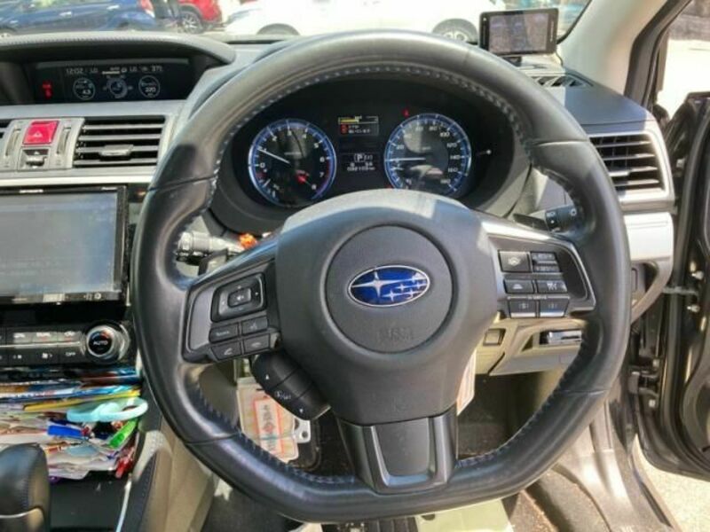 LEVORG