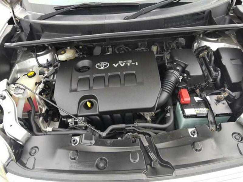 COROLLA RUMION