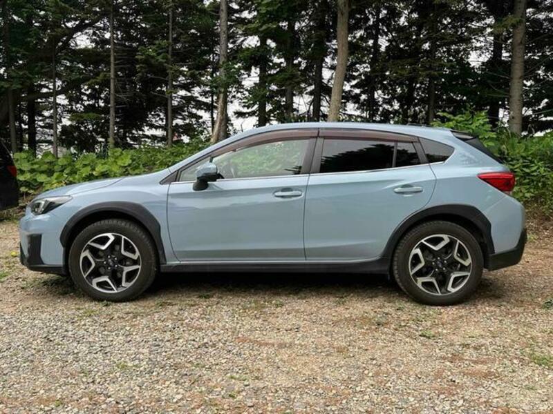 XV