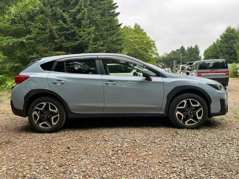 XV