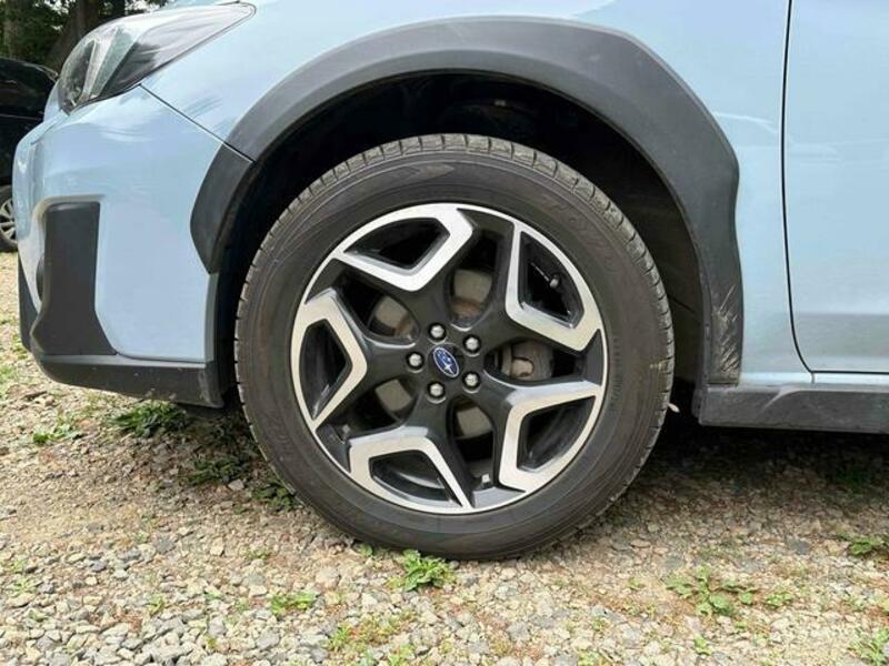 XV