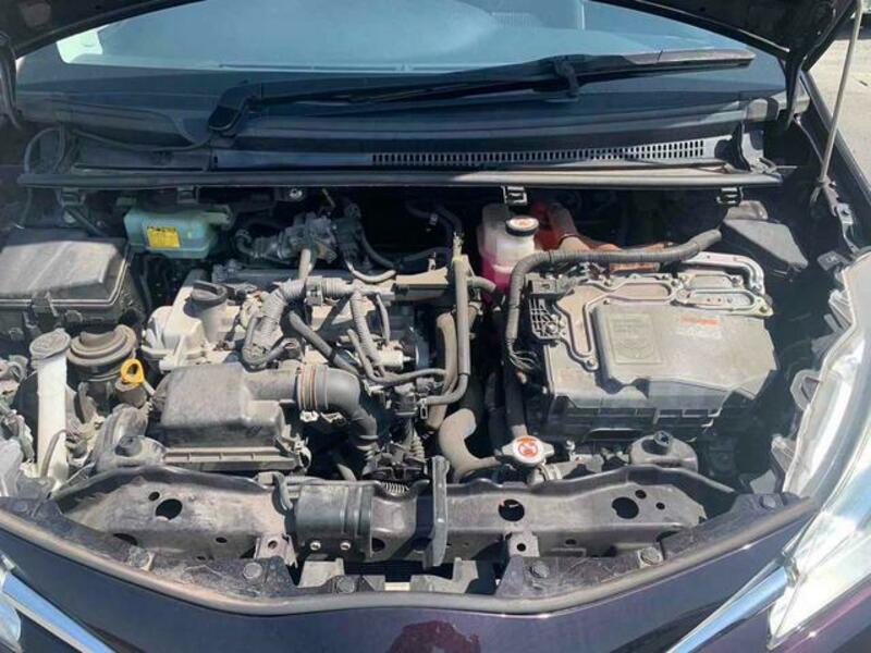 VITZ
