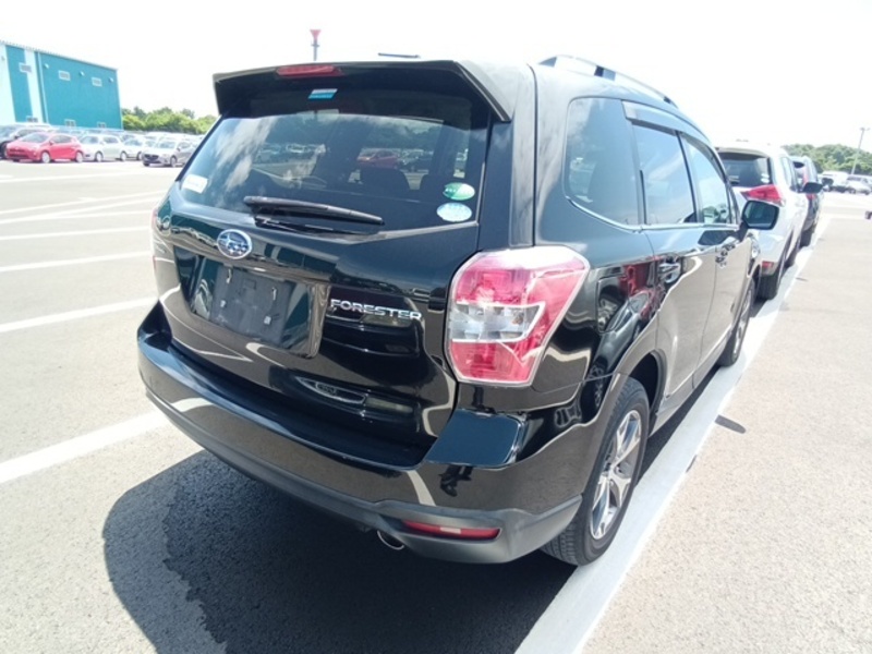 FORESTER