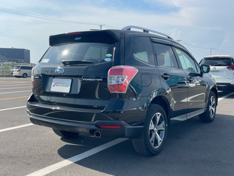 FORESTER