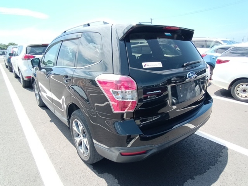 FORESTER