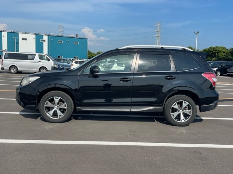 FORESTER