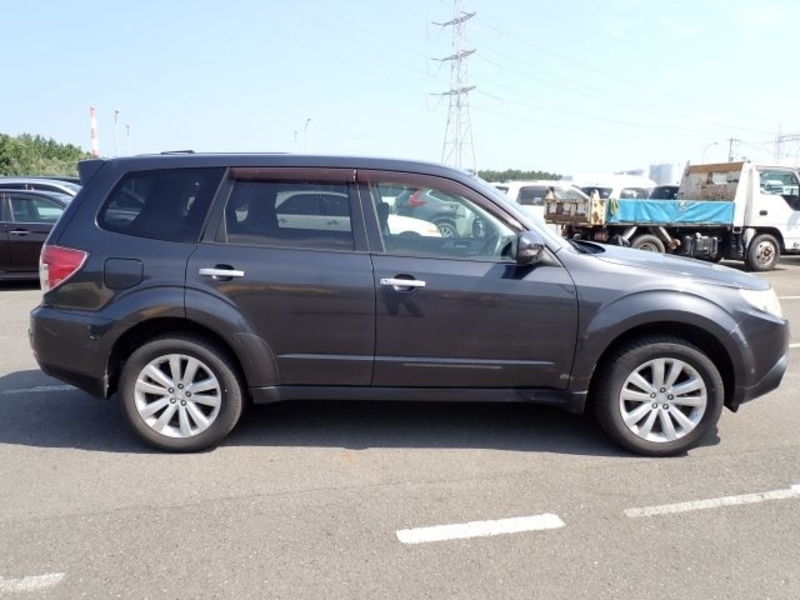 FORESTER