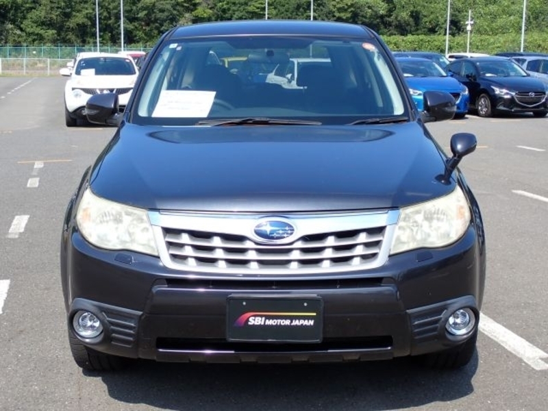 FORESTER