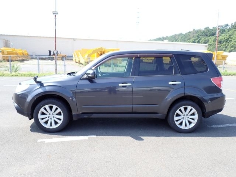 FORESTER