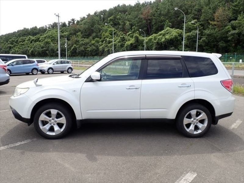 FORESTER