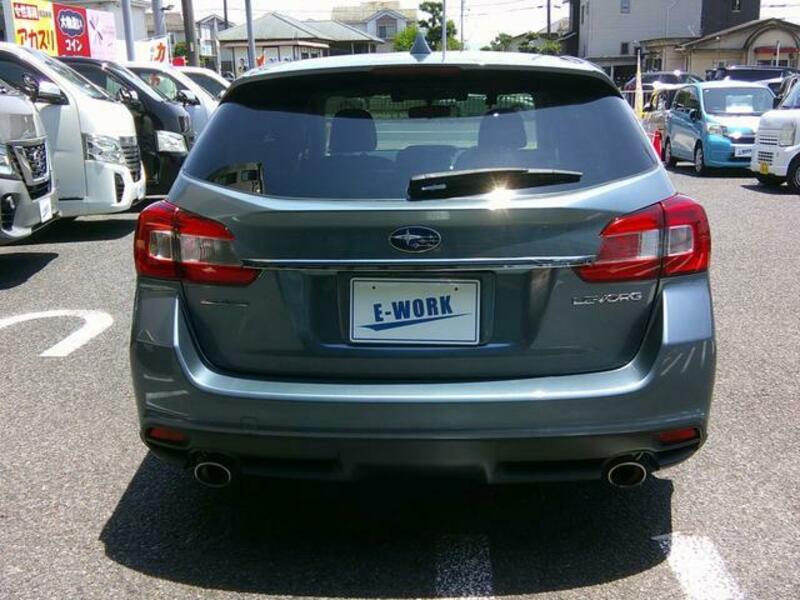 LEVORG