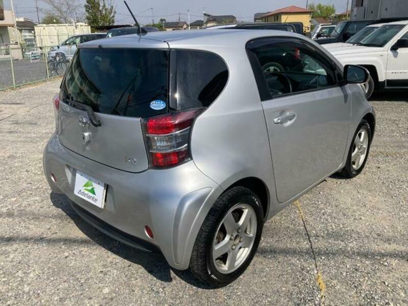 IQ