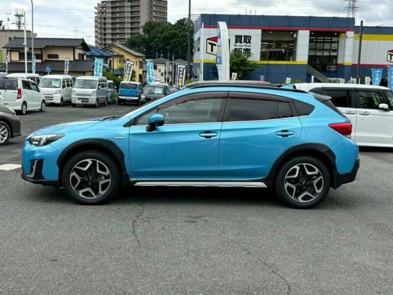 XV
