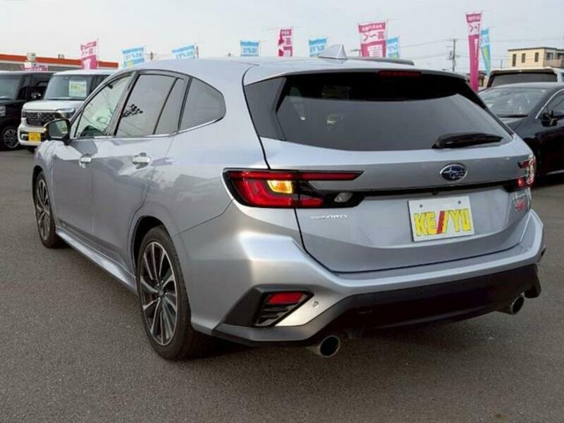 LEVORG