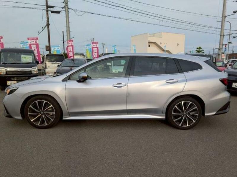 LEVORG