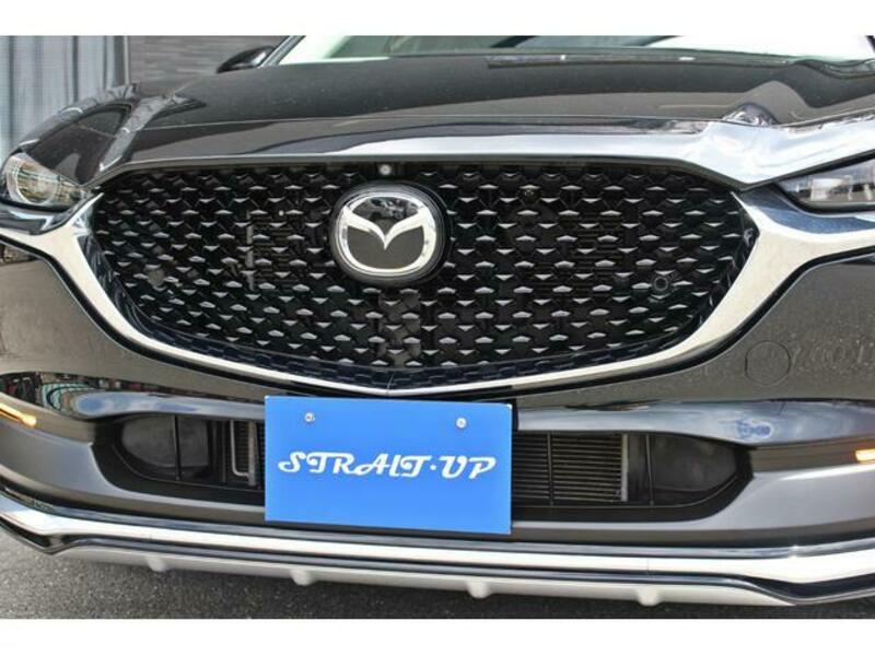 CX-30