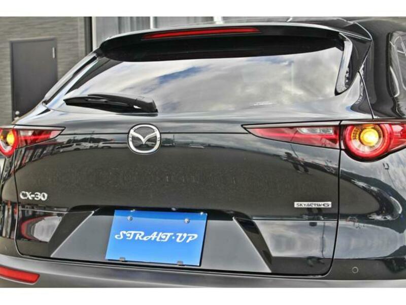 CX-30