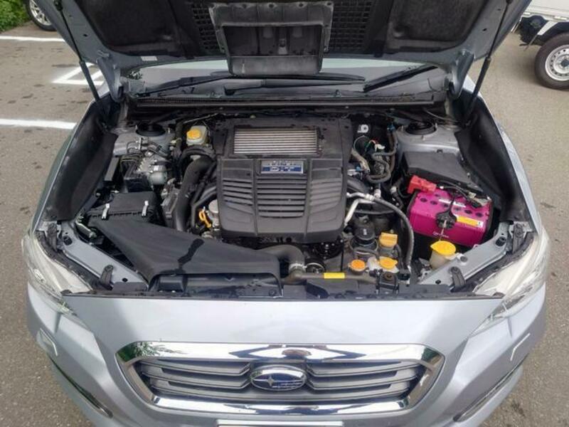 LEVORG