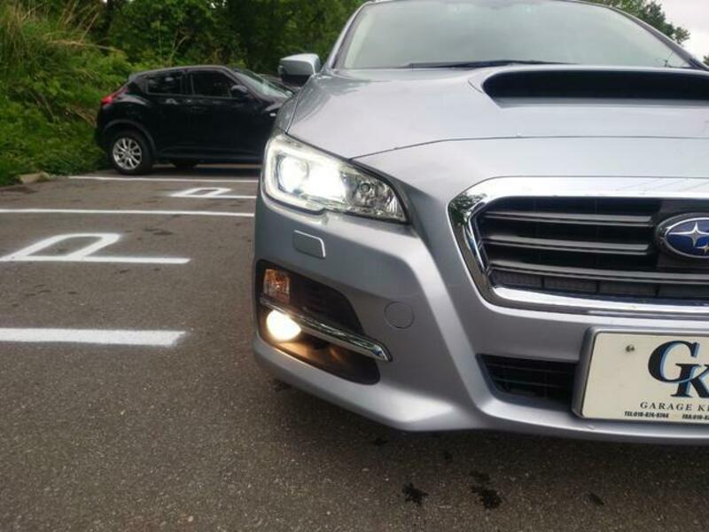 LEVORG
