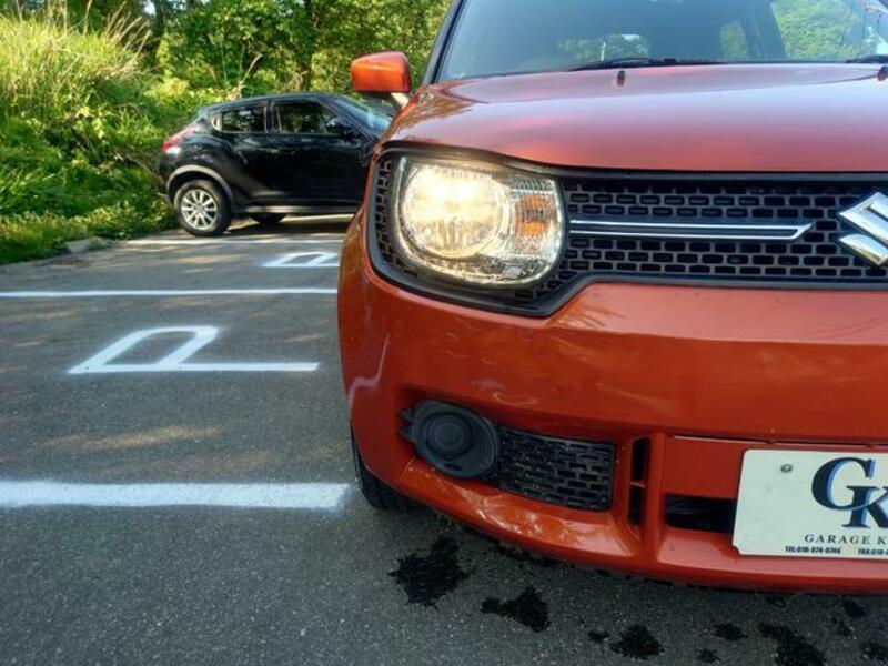 IGNIS