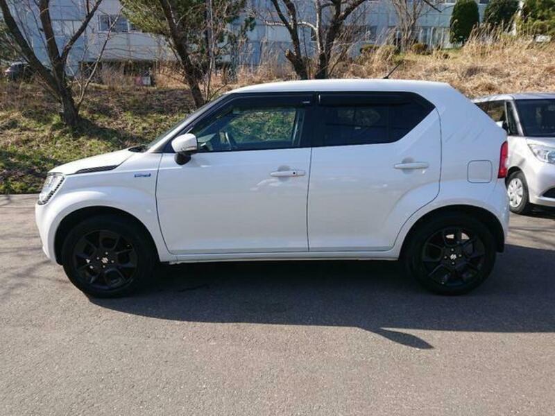 IGNIS
