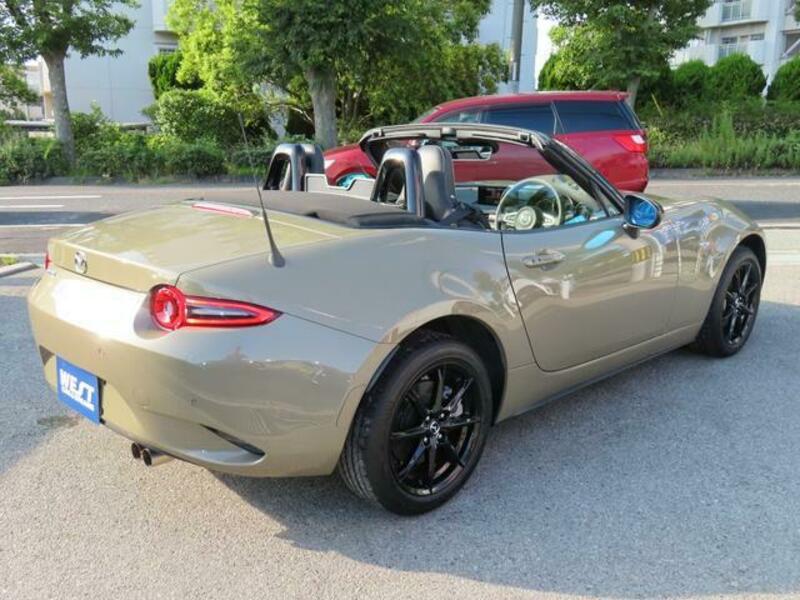 ROADSTER
