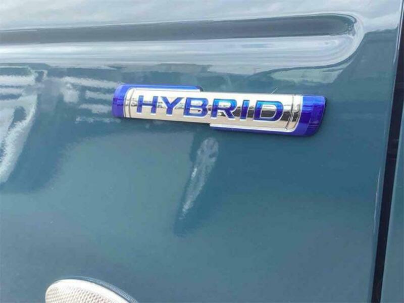 HUSTLER